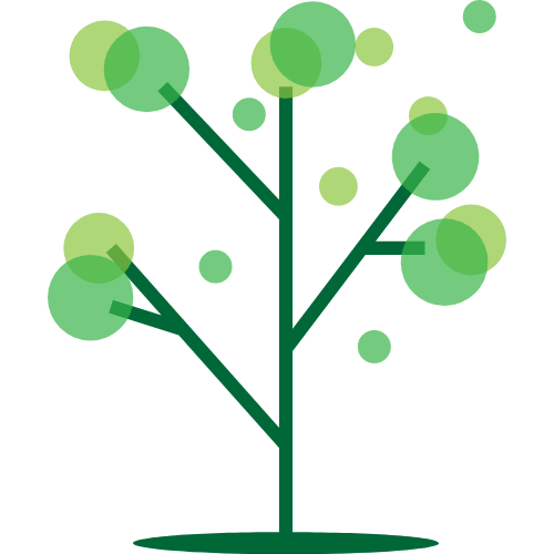 申花迎来2025最后一战，特谢拉、路易斯等多人合同将到期（申花迎战2025收官战：特谢拉、路易斯等多名球员合同到期）